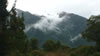 Scenery on the way to Franz Joseph 