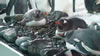 Penguins at Kelly Tarelton's 