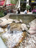 Water feature at the Grove, near Farmers Market 