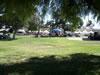 San Diego Old town Fiesta (Mexican Independence Day) 