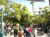 Main shopping in Santa Monica 