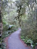Thunder creek falls 