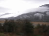Scenery on the way to Franz Joseph 