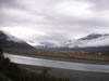 Scenery on the way to Franz Joseph 