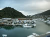 Picton Harbour 