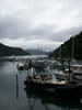 Picton Harbour 