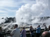 Te Puia geyser, Prince of wales (because of the feather effect) 