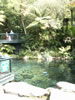 Rainbow springs &ndash; Rainbow pool 