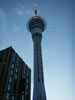 Auckland sky tower