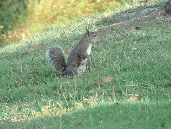 249DSC00019